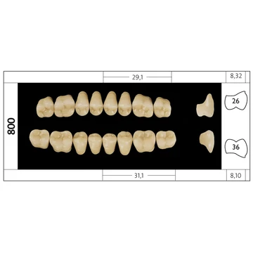 Preference® PMMA Posterior fogak (felső) - C4