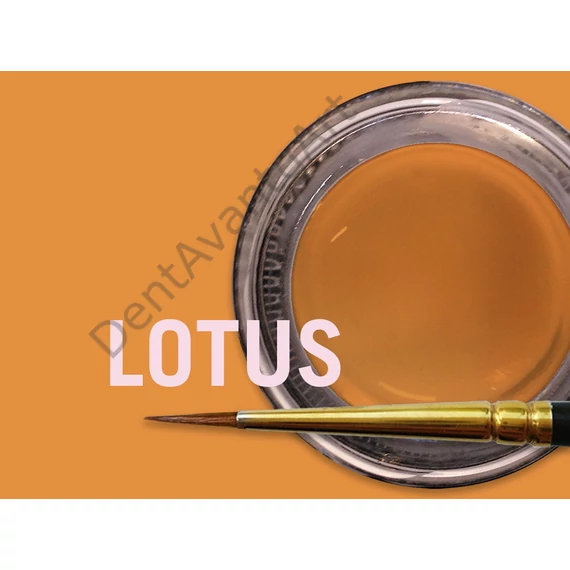 Trans Lotus Fluor
