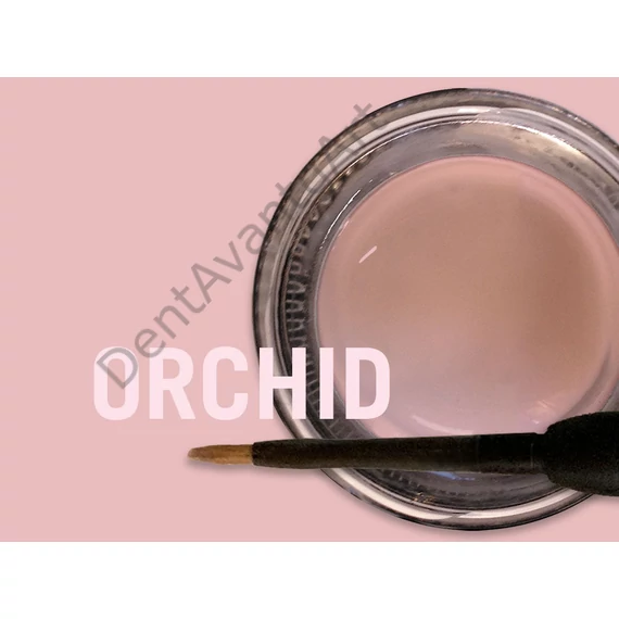 Gingiva Structure Orchid