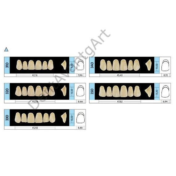 Preference® PMMA Anterior fogak (felső) A SZÍNEK - A35