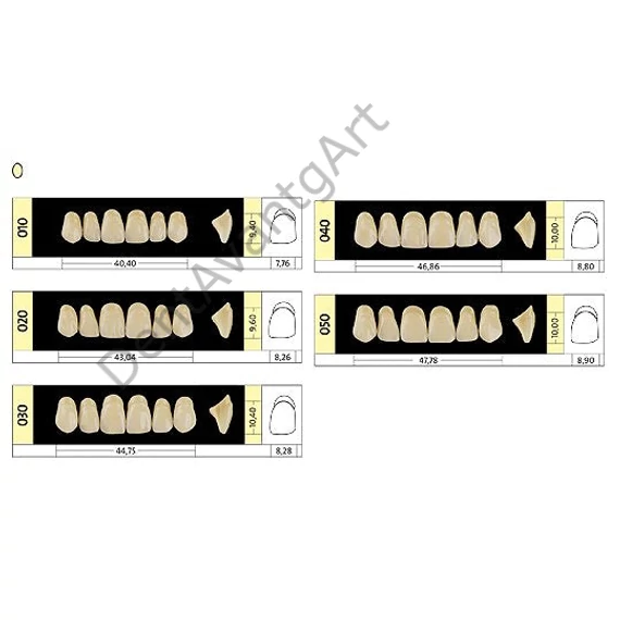 Preference® PMMA Anterior fogak (felső) B SZÍNEK - B4