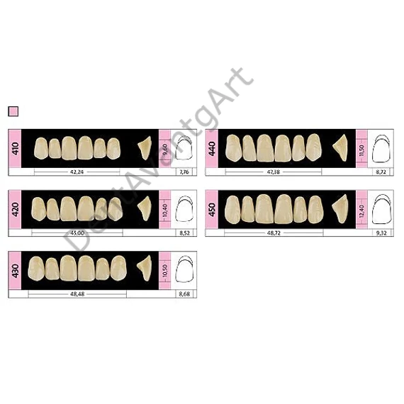 Preference® PMMA Anterior fogak (felső) D SZÍNEK - D4