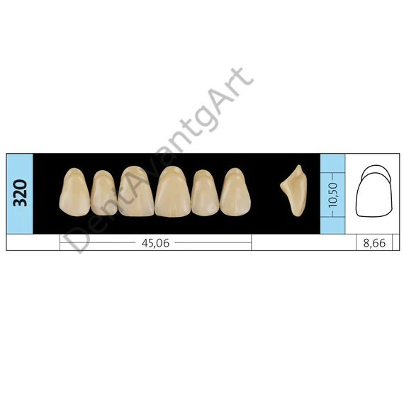 Preference® PMMA Anterior fogak (felső) C SZÍNEK - C4