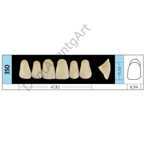 Preference® PMMA Anterior fogak (felső) B SZÍNEK - B4