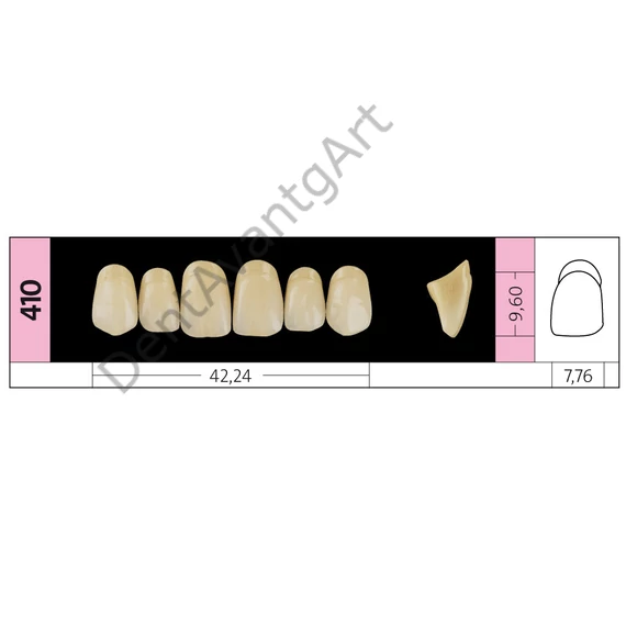Preference® PMMA Anterior fogak (felső) D SZÍNEK - D4