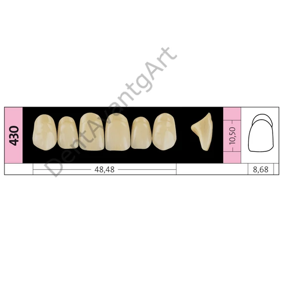 Preference® PMMA Anterior fogak (felső) B SZÍNEK - B4