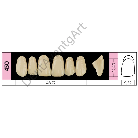 Preference® PMMA Anterior fogak (felső) B SZÍNEK - B4