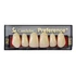 Preference® PMMA Anterior fogak (felső) B SZÍNEK - B4