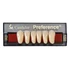 Preference® PMMA Anterior fogak (alsó) - C1
