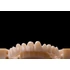 Vertys Monomassa PMMA - A2-20